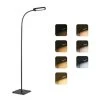 Teckin Lampe De Lecture FL32 Sur Pied à LED, 5 Températures De Couleur Et 4 Niveaux De Luminosité Avec Col De Cygne Réglable, Lampes Debout à Commande Tactile Et à Gradation Pour Le Salon, La Chambre à Coucher, L'étude Et La Couture. -Lampadaire Soldes 2022 46791333 1